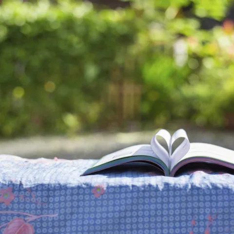 The Hen Book