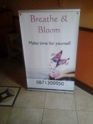 Breathe and Bloom