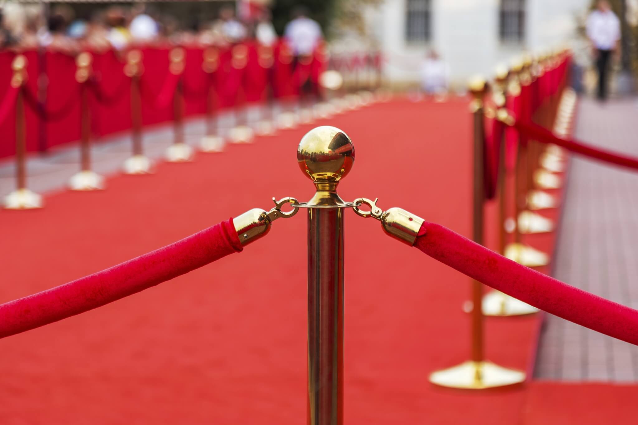 Path to Success Red Carpet 000044268092 Double jpg